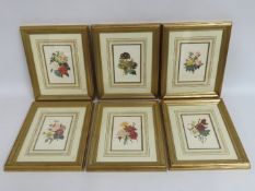 Six framed limited edition of 7500 botanical print