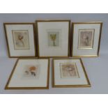 Five framed limited edition botanical prints, indi