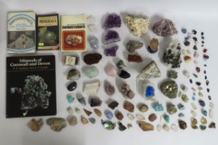 A collection of crystal & rocks of geological inte