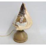 A carved conch shell converted into a lamp, 295mm