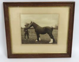 A framed G.H. Parsons 1934 photo of Shire show hor