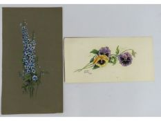 Two botanical watercolours by Dorothy Buckley DHS,