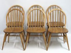 A set of six 1960's Ercol elm dining chairs, 810mm