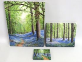 Three decorative oil paintings of woodland bluebell scenes by Sarah King, largest 460mm x 360mm