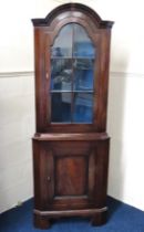 A 19thC. mahogany corner cabinet, 1870mm x 660mm a