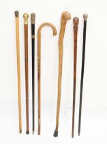 Quantity of walking sticks and canes