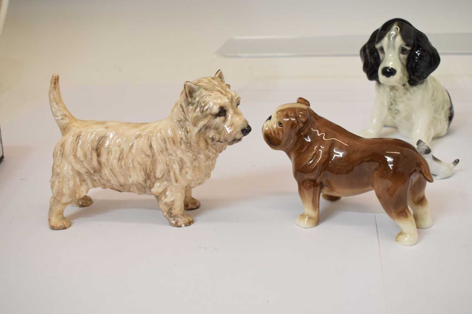 Group of Beswick, Royal Doulton, Sylvac animals cat and dog figures - Image 5 of 12