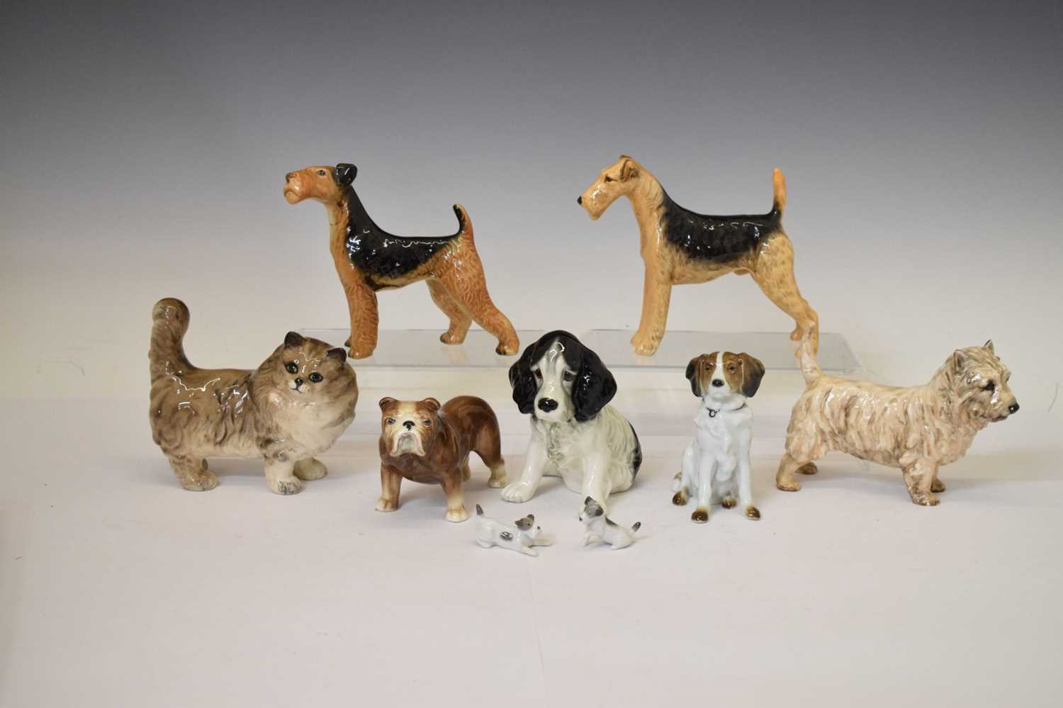 Group of Beswick, Royal Doulton, Sylvac animals cat and dog figures - Image 12 of 12