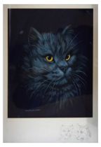 David Blake (Bristol Savages) - Watercolour/Gouache - Study of a cat