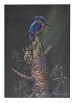 Robert Coppillie (b. 1951) - Acrylic - Kingfisher