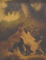 Follower of George Armfield (1808-1893) - Oil on canvas - Dog & Fox fighting