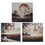 John Waterhouse - Three limited edition signed prints