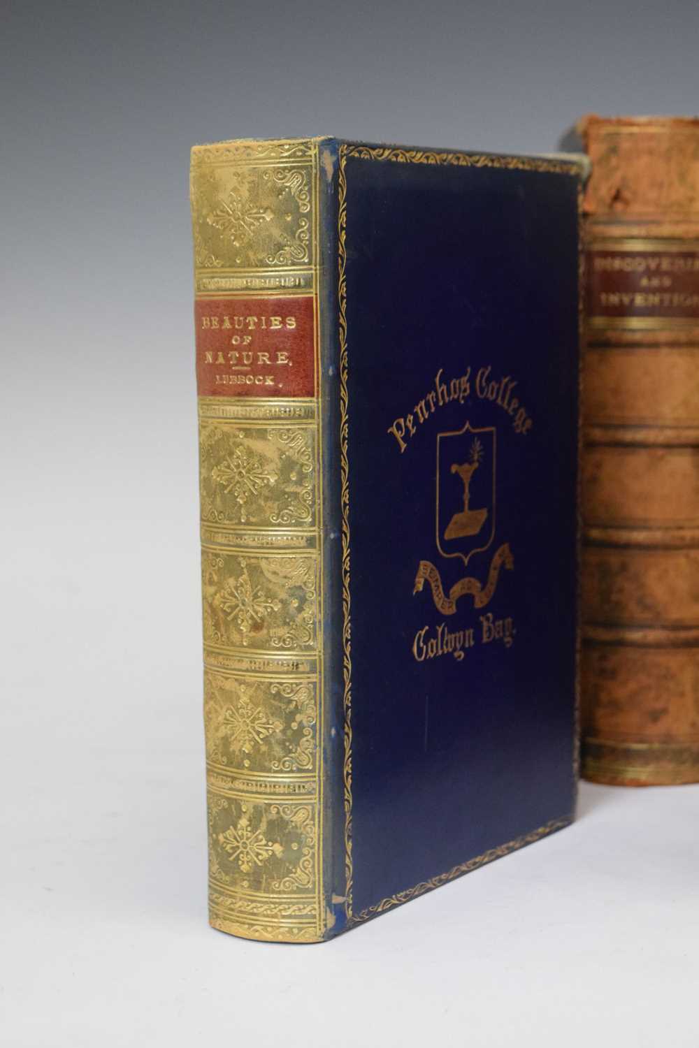 Collection of fifteen late nineteenth and early twentieth century leather-bound books - Image 8 of 21