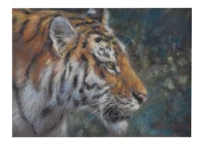 Joel Kirk (British, b.1948) - Pastel - Profile of a tiger