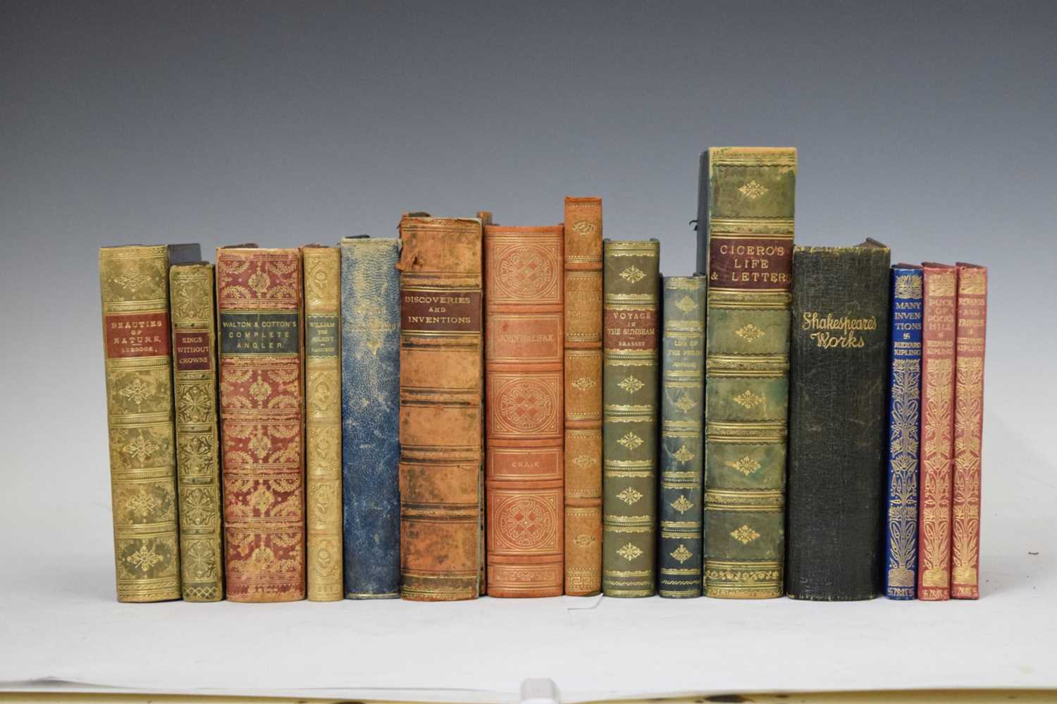 Collection of fifteen late nineteenth and early twentieth century leather-bound books - Image 20 of 21