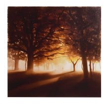 John Waterhouse - Limited edition signed giclée print - 'A Walk Through The Park'