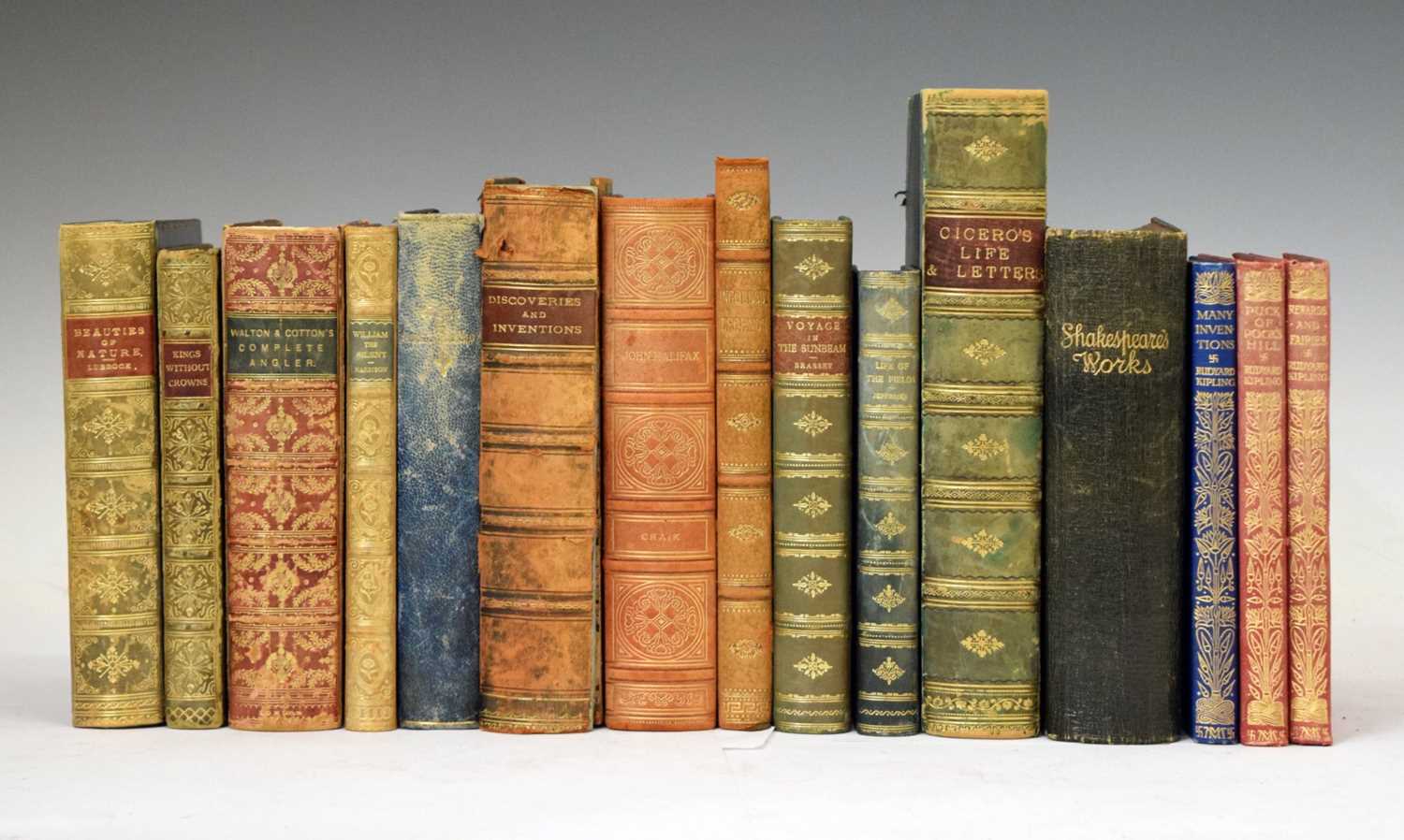 Collection of fifteen late nineteenth and early twentieth century leather-bound books
