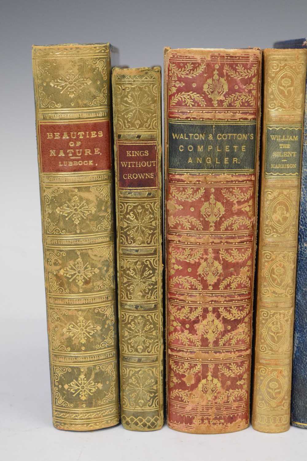 Collection of fifteen late nineteenth and early twentieth century leather-bound books - Image 2 of 21