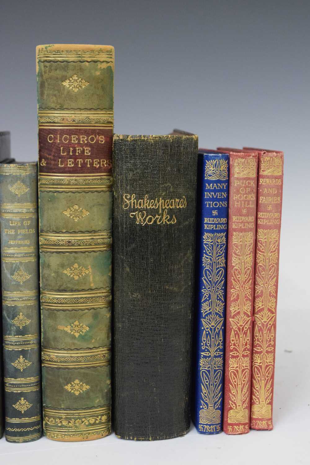 Collection of fifteen late nineteenth and early twentieth century leather-bound books - Image 5 of 21