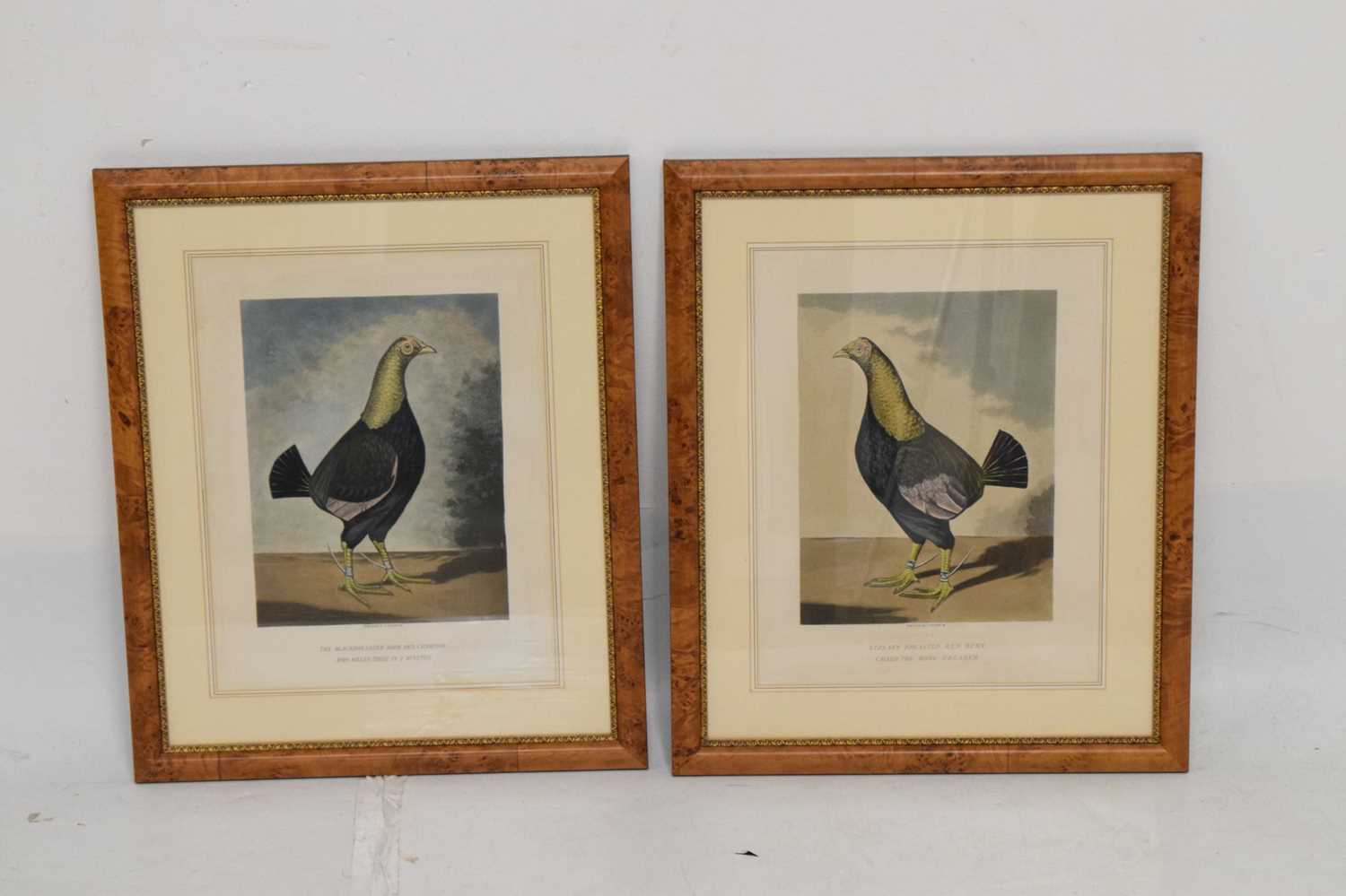 Pair ornithological prints, engraved by C.R. Stock - Image 7 of 8