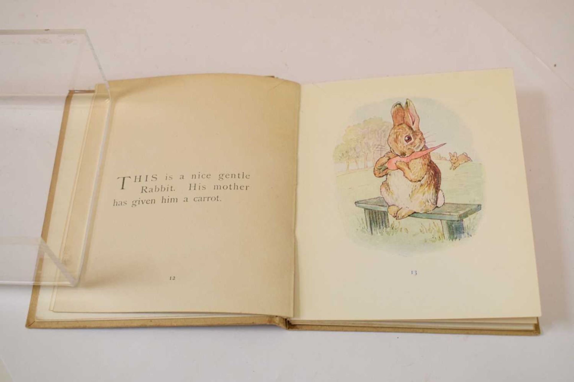 Potter, Beatrix - 'The Story of A Fierce Bad Rabbit' - First Edition - Image 11 of 20