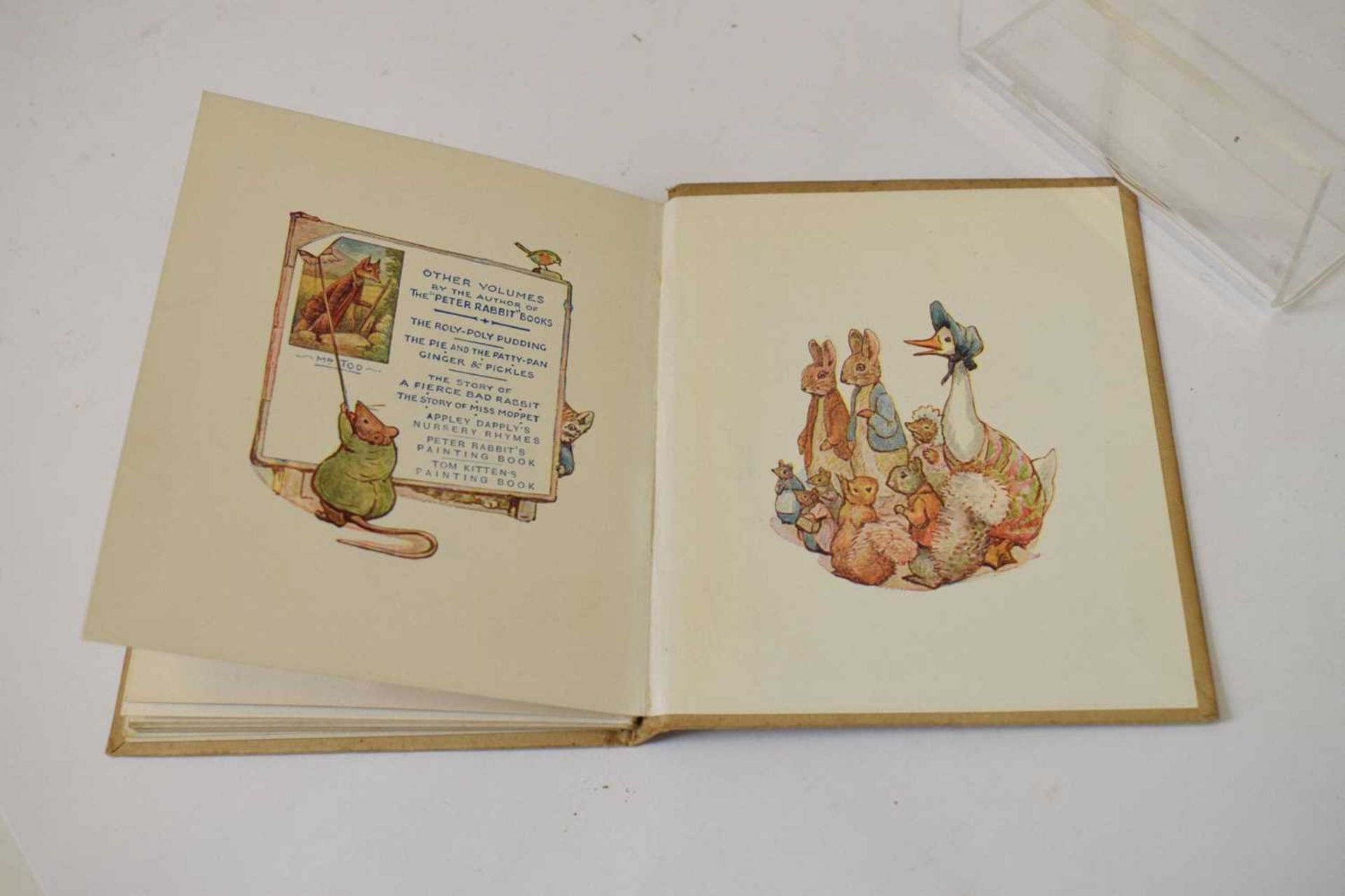 Potter, Beatrix - 'The Story of A Fierce Bad Rabbit' - First Edition - Image 16 of 20