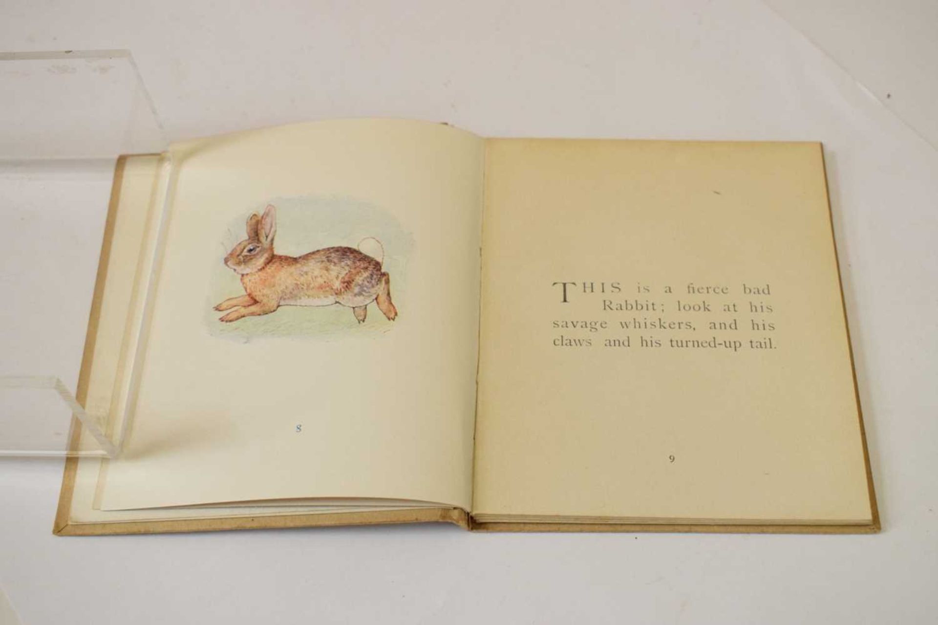 Potter, Beatrix - 'The Story of A Fierce Bad Rabbit' - First Edition - Image 10 of 20