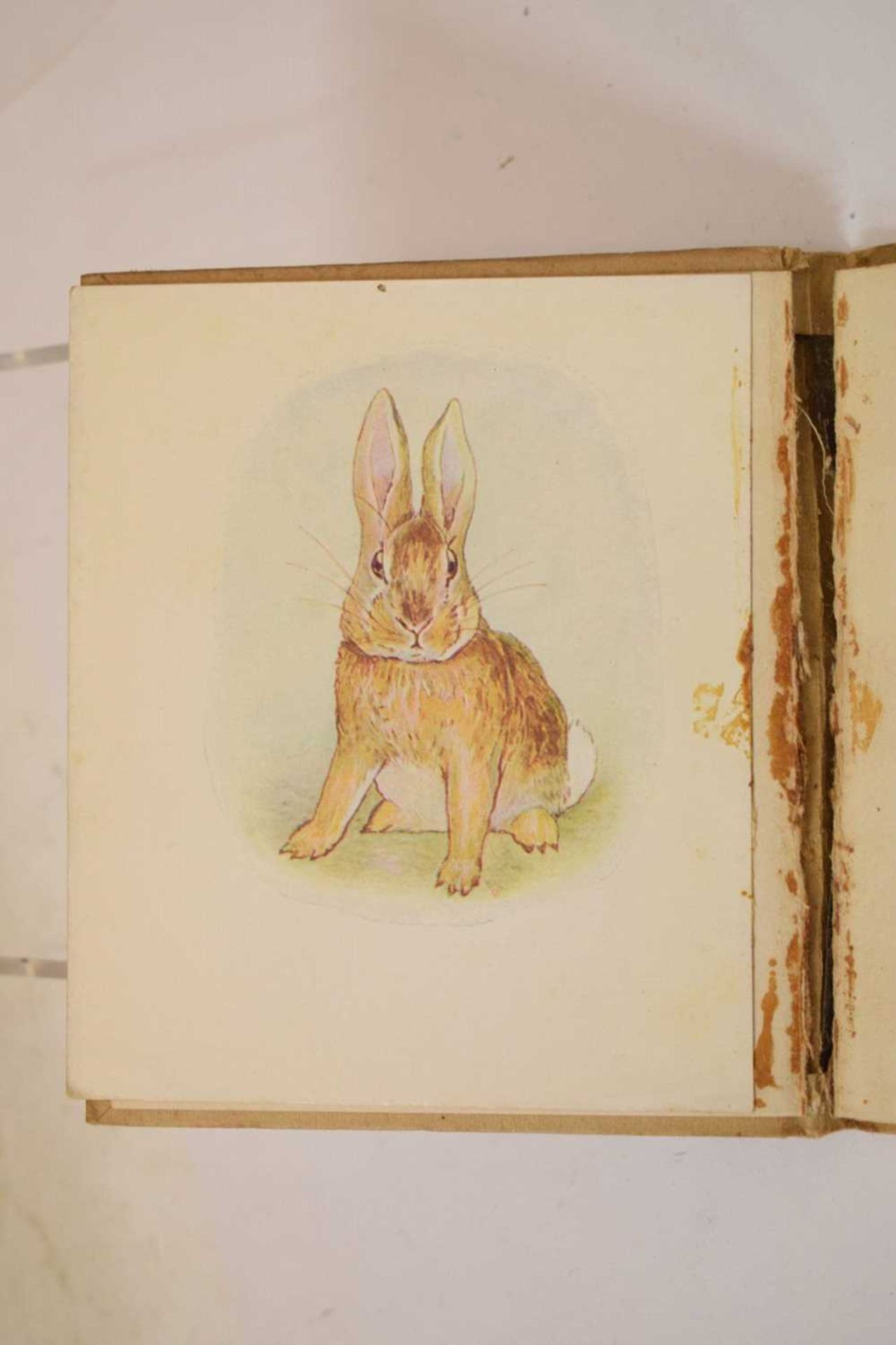 Potter, Beatrix - 'The Story of A Fierce Bad Rabbit' - First Edition - Image 19 of 20