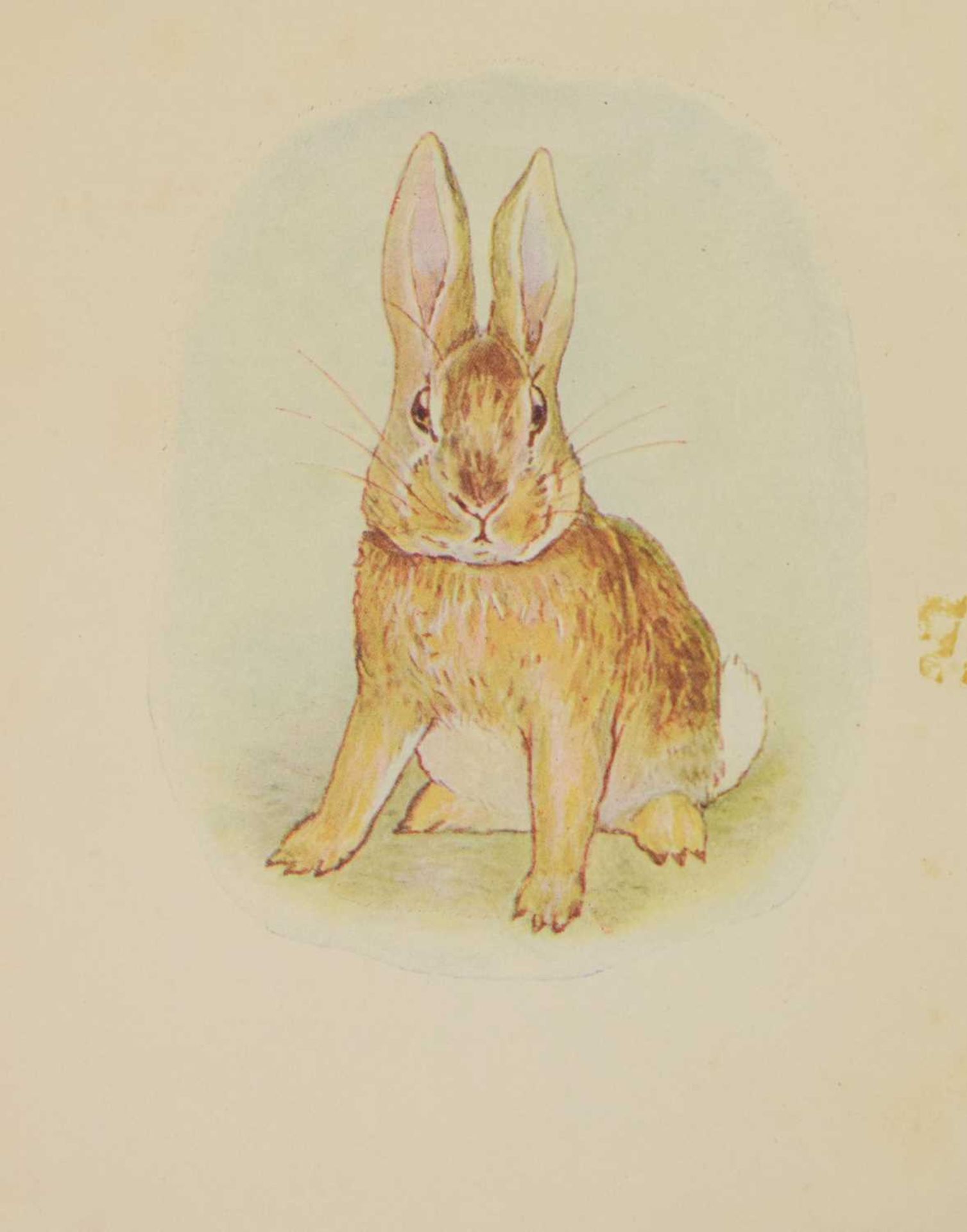 Potter, Beatrix - 'The Story of A Fierce Bad Rabbit' - First Edition - Image 7 of 20