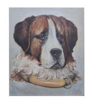 20th century English school - Oil on board - Study of a St Bernard dog