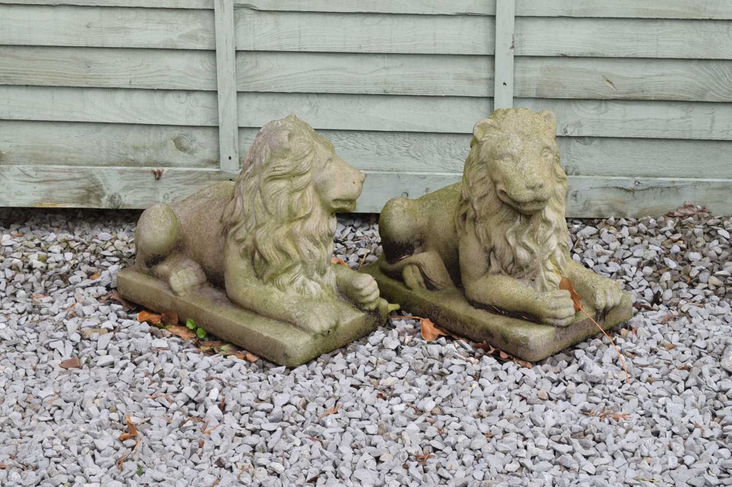 Pair of reconstituted stone garden lions - Image 2 of 4