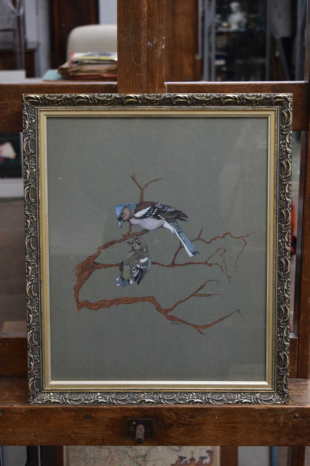 J.D. Hall - Watercolour - Two birds resting on tree branches - Image 5 of 6