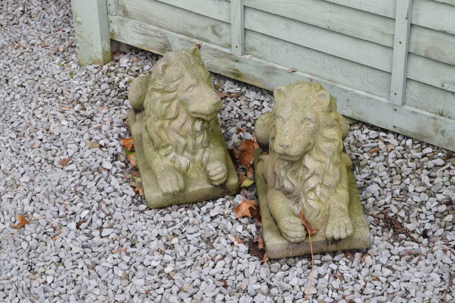 Pair of reconstituted stone garden lions - Image 3 of 4