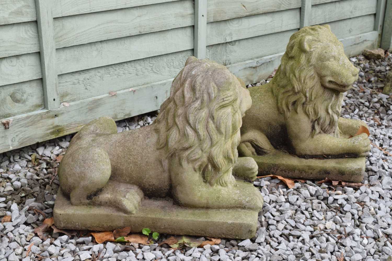 Pair of reconstituted stone garden lions - Image 4 of 4