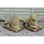 Pair of reconstituted stone garden lions