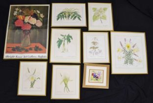Rene Ray, Countess of Midleton - Group of seven watercolour botanical studies
