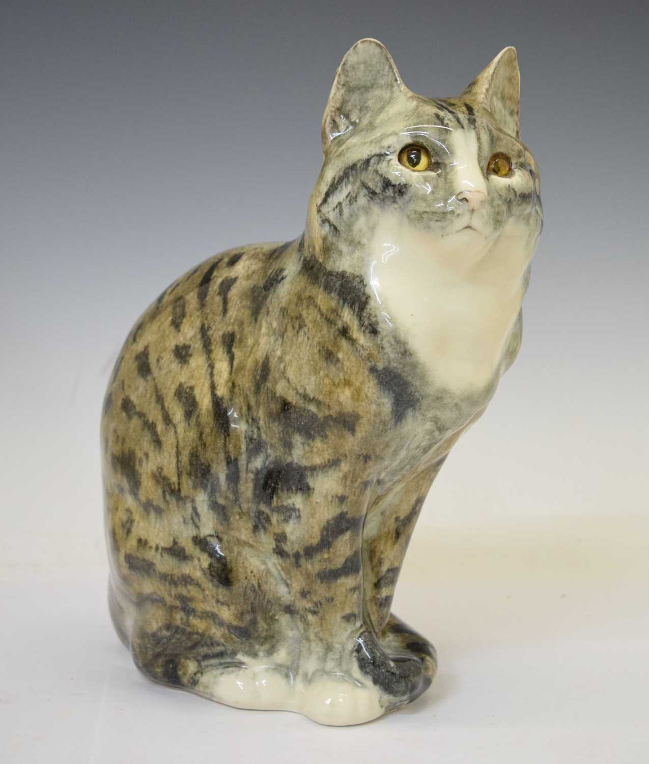 Large Winstanley Tabby cat in seated pose