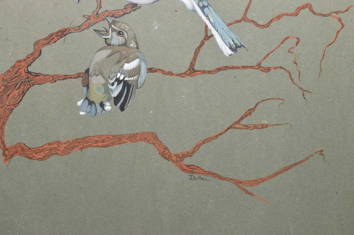 J.D. Hall - Watercolour - Two birds resting on tree branches - Image 4 of 6