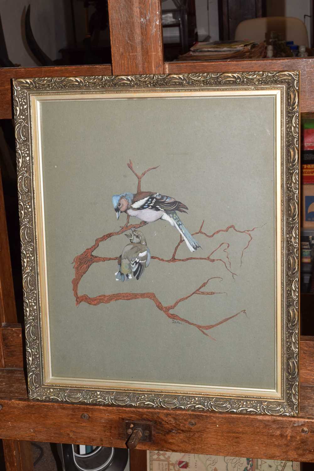 J.D. Hall - Watercolour - Two birds resting on tree branches - Image 2 of 6