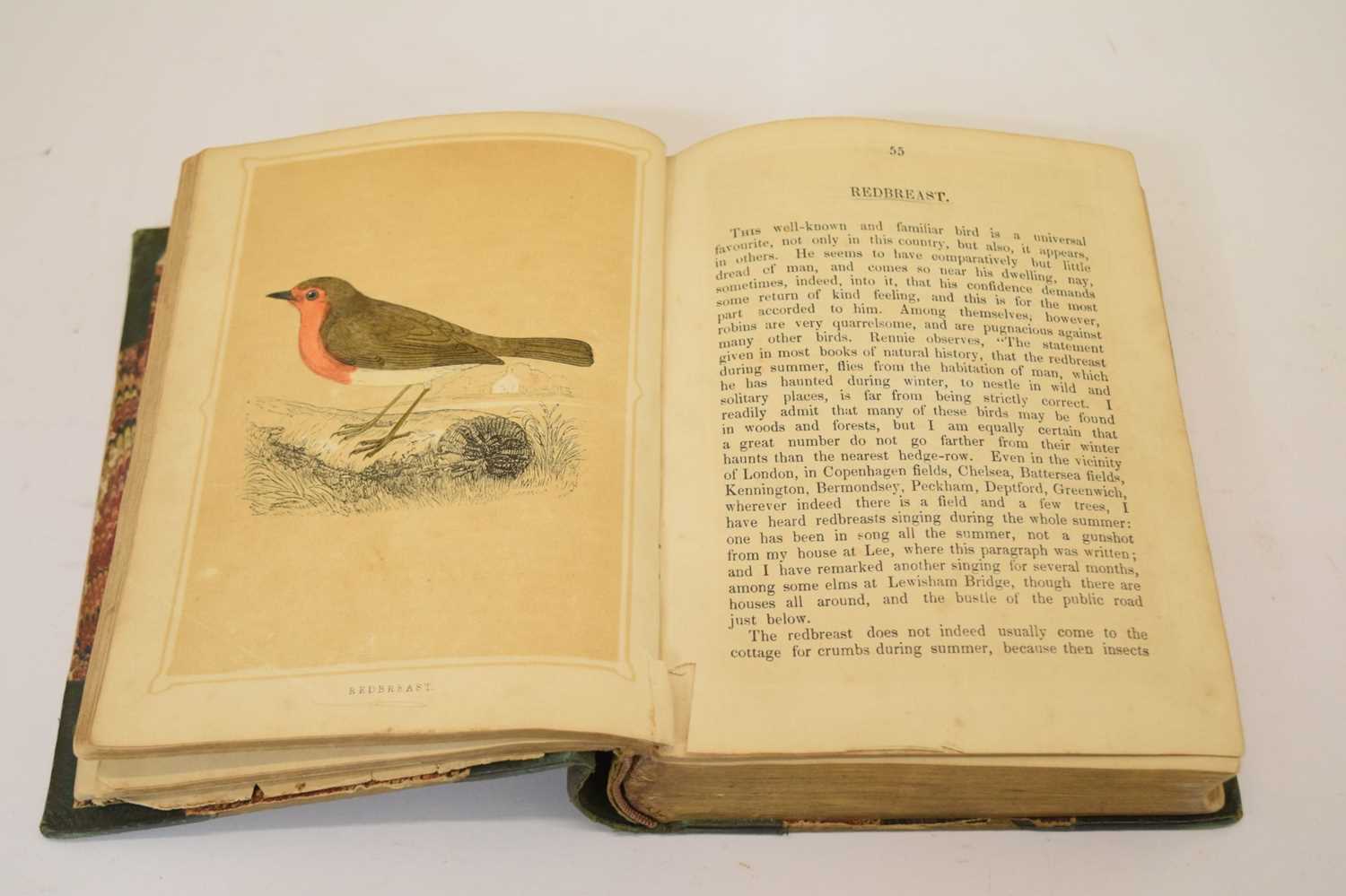 Rev F. O. Morris, B.A., 'Book of Natural History' - First edition 1852 - Image 4 of 7