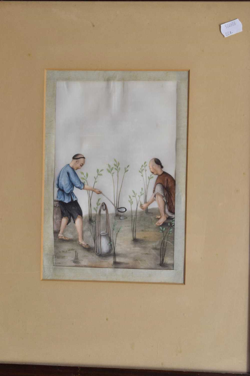 Pair of 19th century Chinese watercolours on pith paper - rice farming scenes - Image 4 of 16