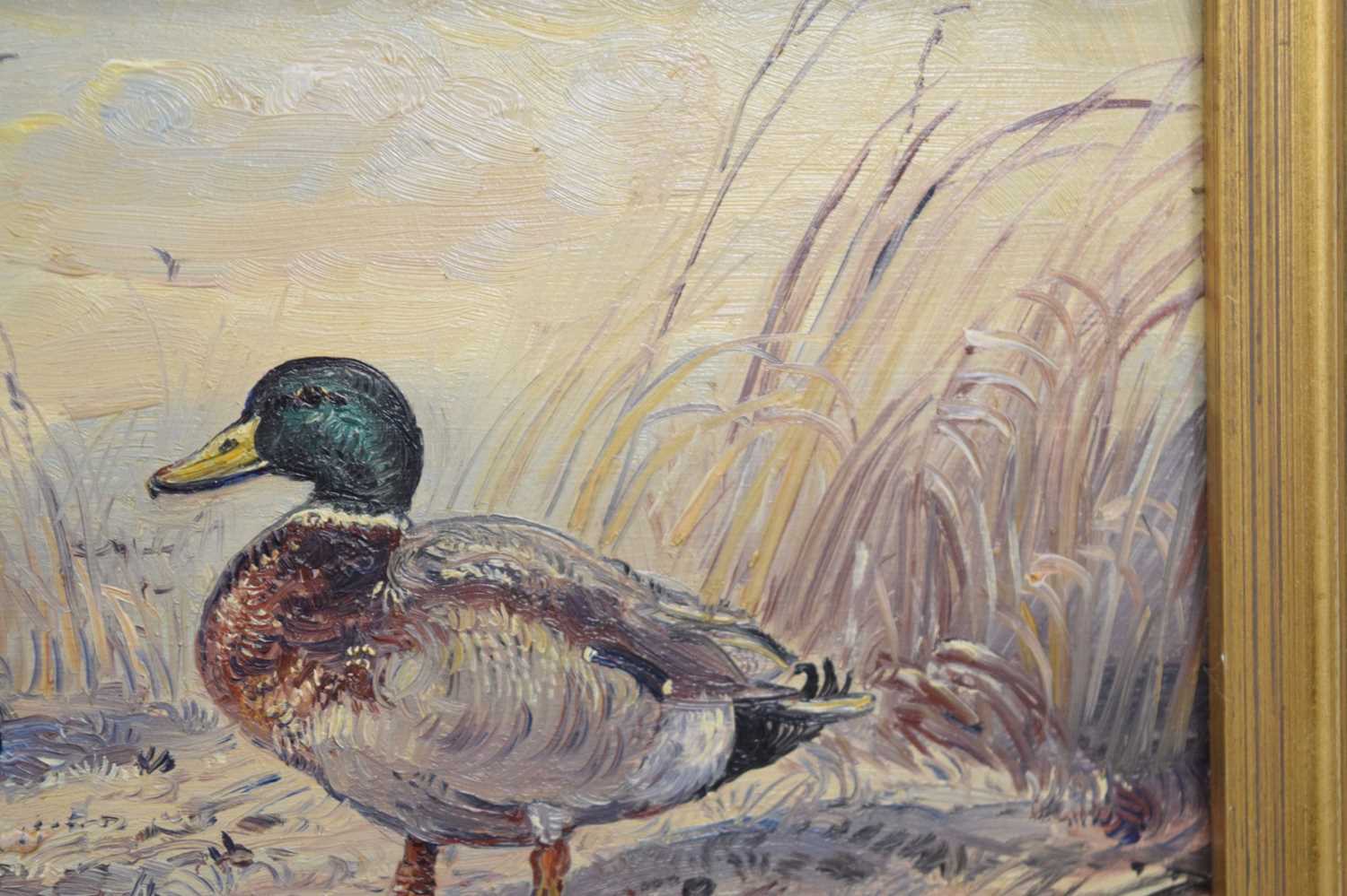 John Mace (b. 1937) - Two small oils on board - Mallards - Image 6 of 10