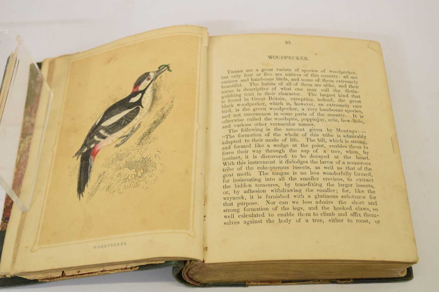 Rev F. O. Morris, B.A., 'Book of Natural History' - First edition 1852 - Image 3 of 7
