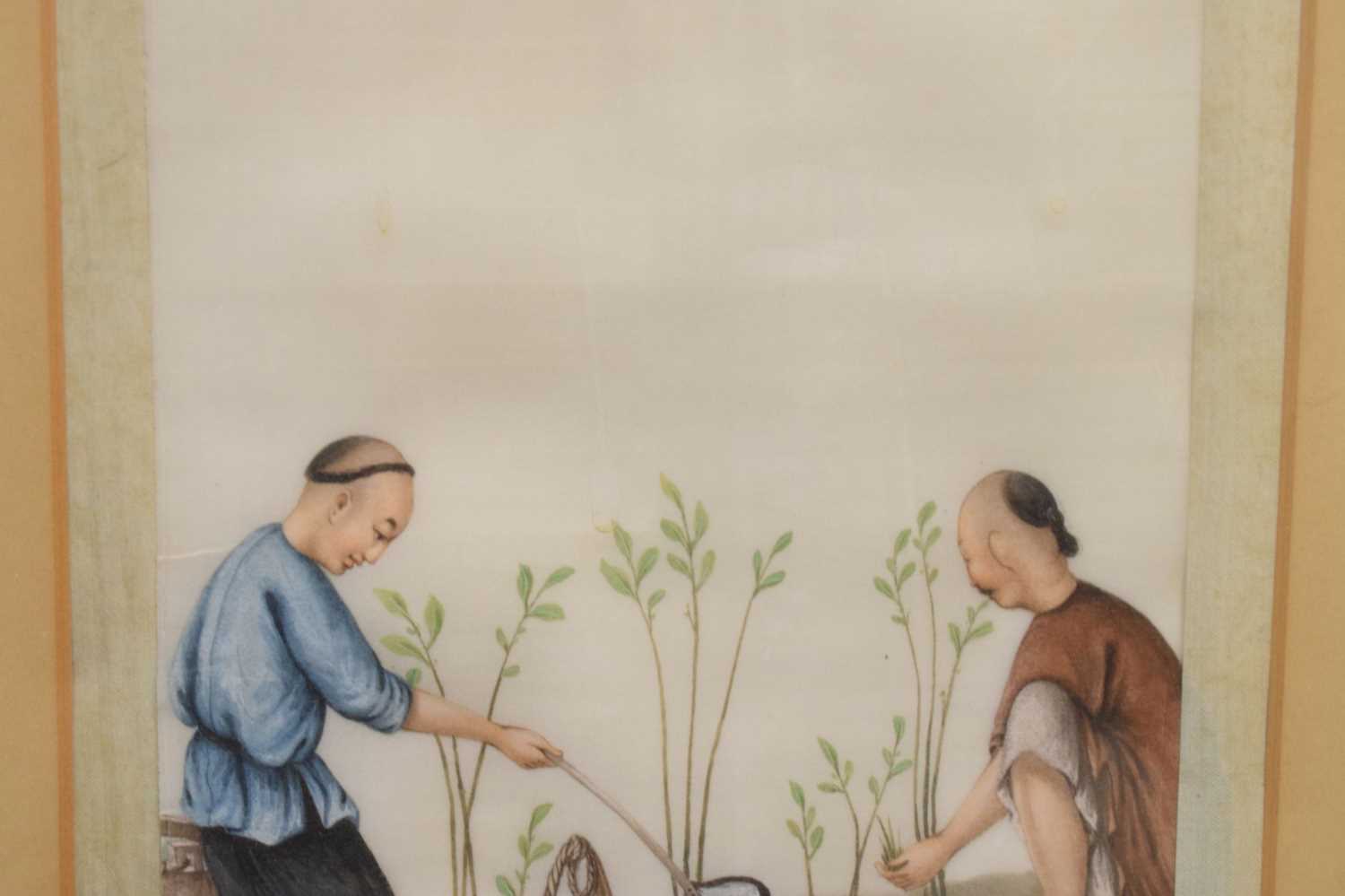 Pair of 19th century Chinese watercolours on pith paper - rice farming scenes - Image 11 of 16