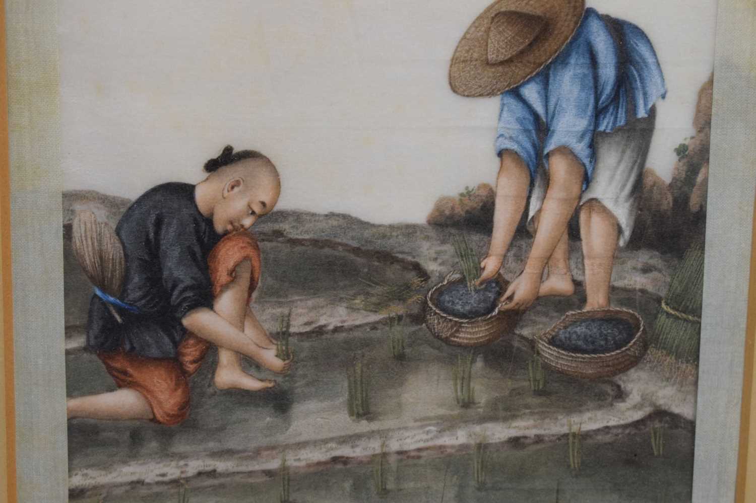 Pair of 19th century Chinese watercolours on pith paper - rice farming scenes - Image 8 of 16