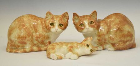 Three Winstanley cats