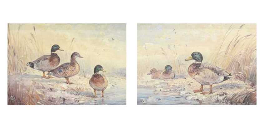 John Mace (b. 1937) - Two small oils on board - Mallards