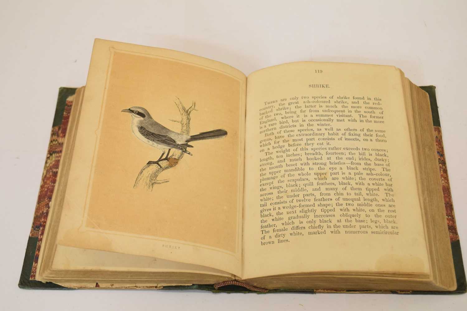 Rev F. O. Morris, B.A., 'Book of Natural History' - First edition 1852 - Image 5 of 7