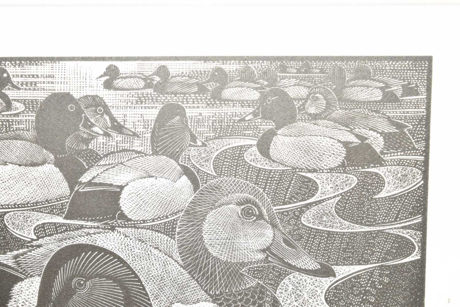 Colin See-Paynton (b. 1946) - Limited edition etching - 'Knob of Pochards' - Image 6 of 9