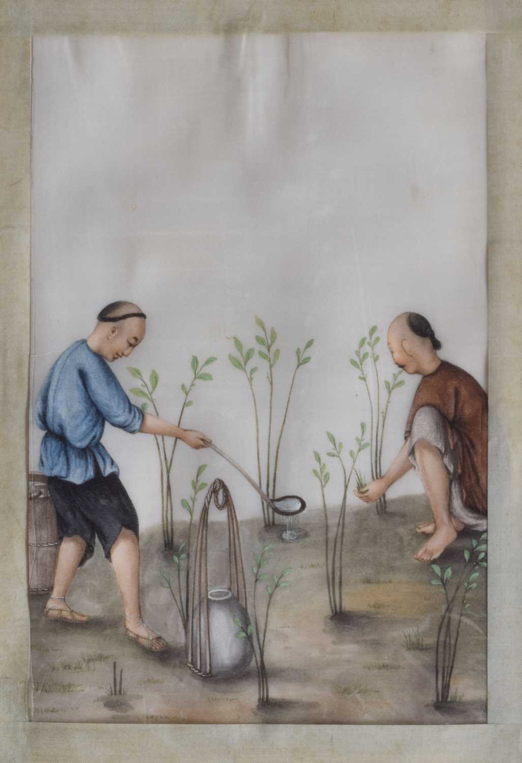 Pair of 19th century Chinese watercolours on pith paper - rice farming scenes - Image 2 of 16